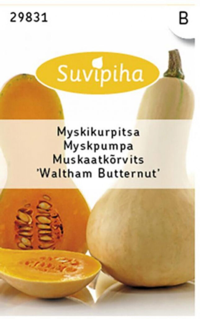 Muskaatkõrvits Waltham Butternut 1,5g B