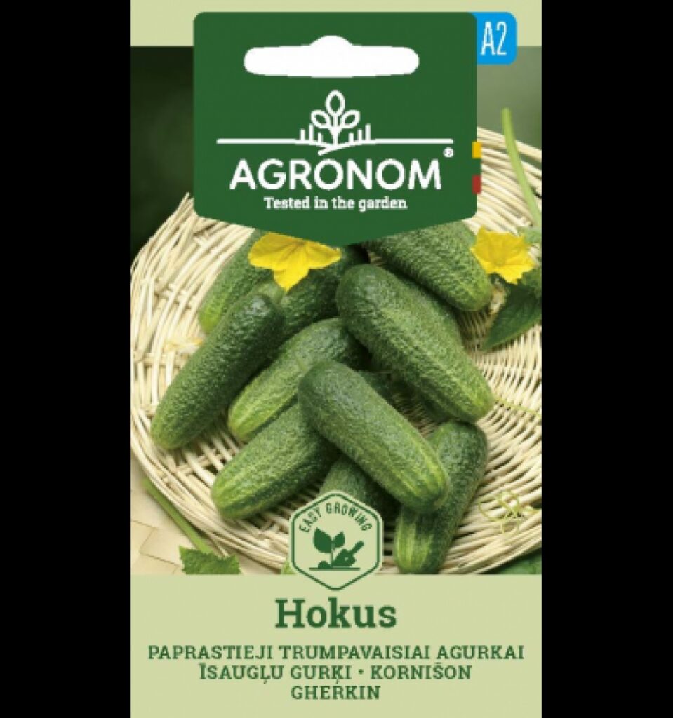 Kurk Hokus-Cucumis sativus L.