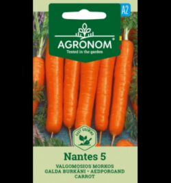 Porgand Nantes 5 -Daucus carota L.