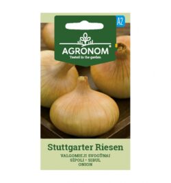 Sibul Stuttgarter Riesen-Allium cepa L.