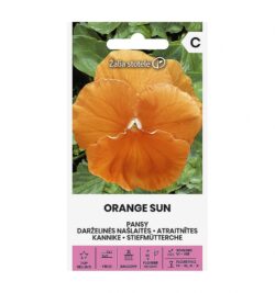 Aedkannike Pansy Orange Sun - Viola X Wittrockiana
