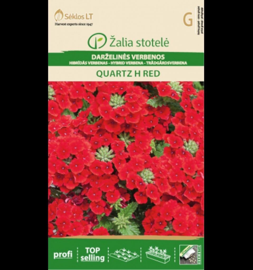 Aed-raudürt Verbena Quartz H Red - Verbena hybrida Voss