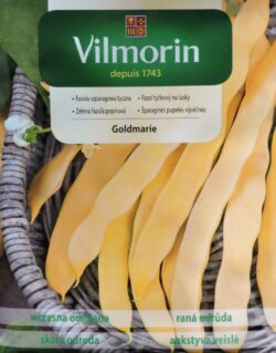 Aeduba kollane GOLDMARIE Phaseolus vulgaris /SP/