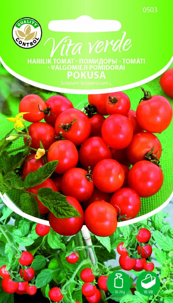 Tomat Pokusa