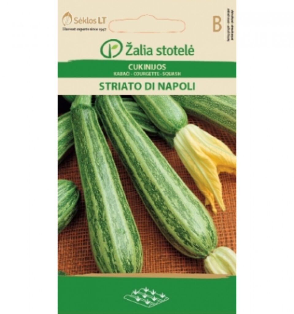 Suvikõrvits Striato di Napoli - Cucurbita pepo L.