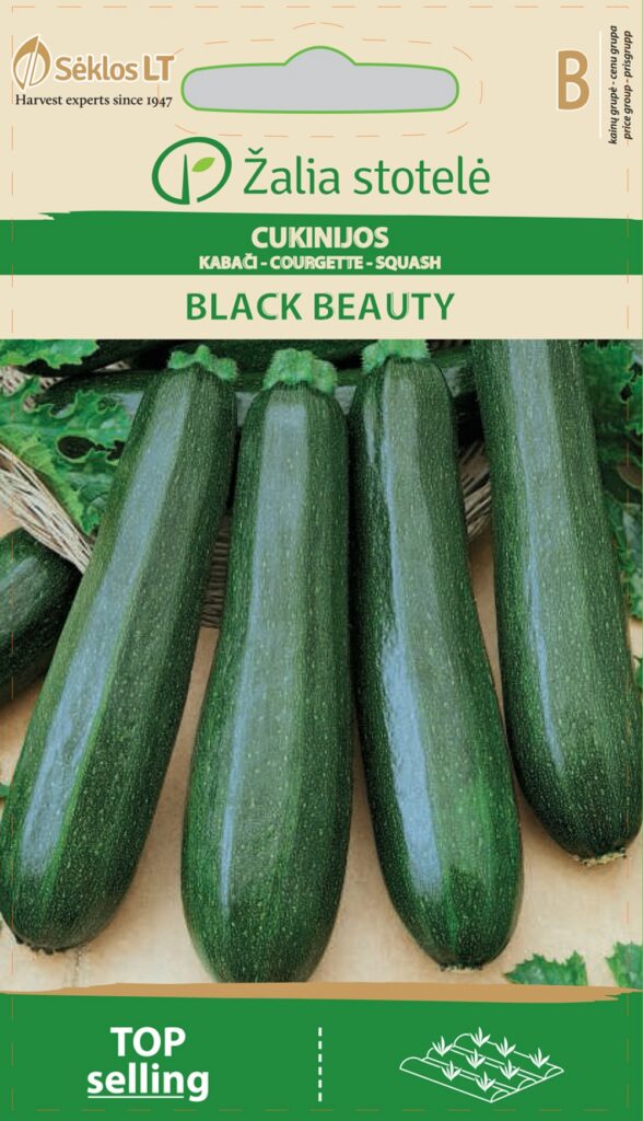 Suvikõrvits Black beauty - Cucurbita pepo L.