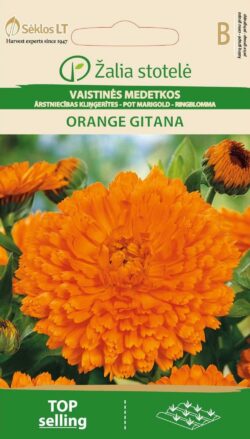 Harilik saialill Pot Marigold Orange Gitana - Calendula officinalis L.