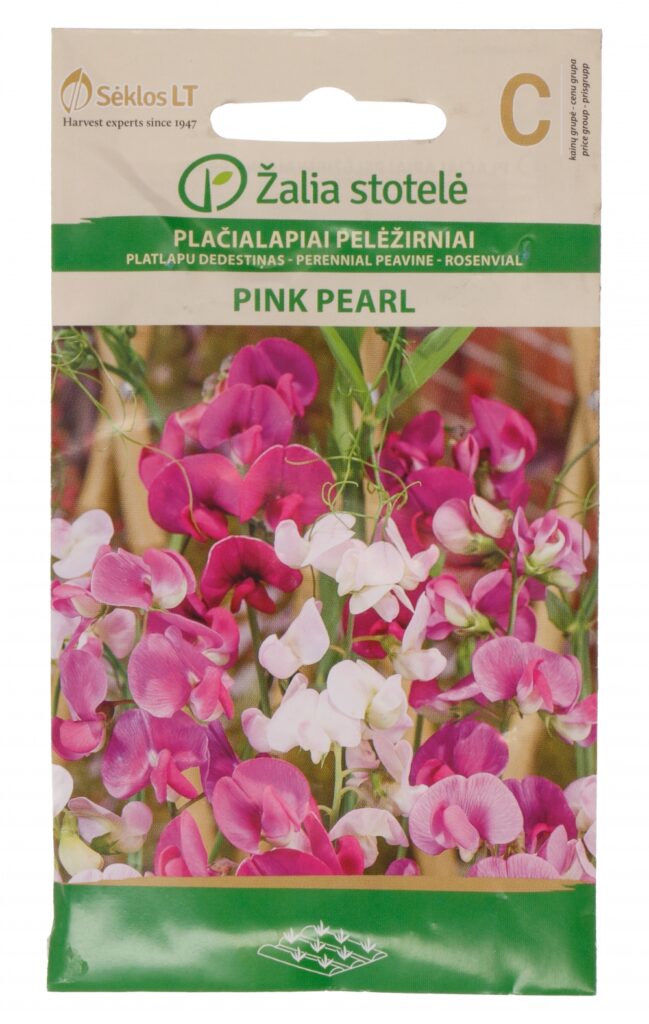 Laialehine seahernes Sweet Pea Broad-Leaved Perennial Mix - Lathyrus latifolius L.