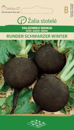 Talirõigas Runder Swarzer Winter - Raphanus sativus L.