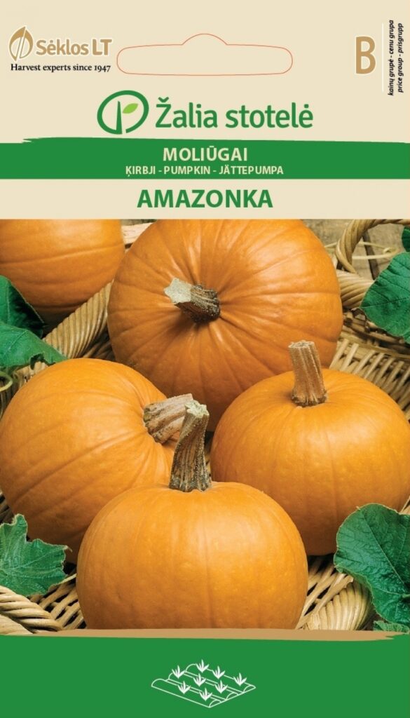 Kõrvits Amazonka - Cucurbita maxima Duchesne