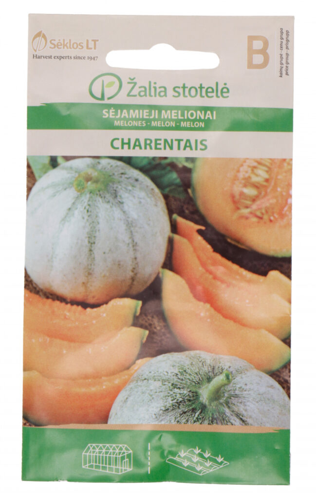 Melon Charentais - Cucumis melo L.