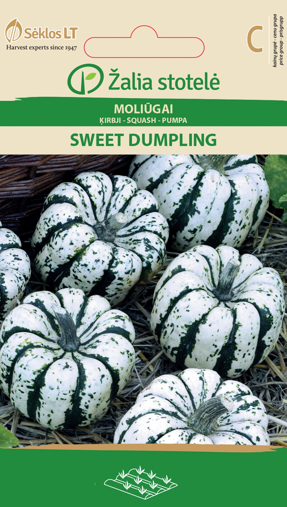 Kõrvits Sweet dumpling - Cucurbita pepo L.