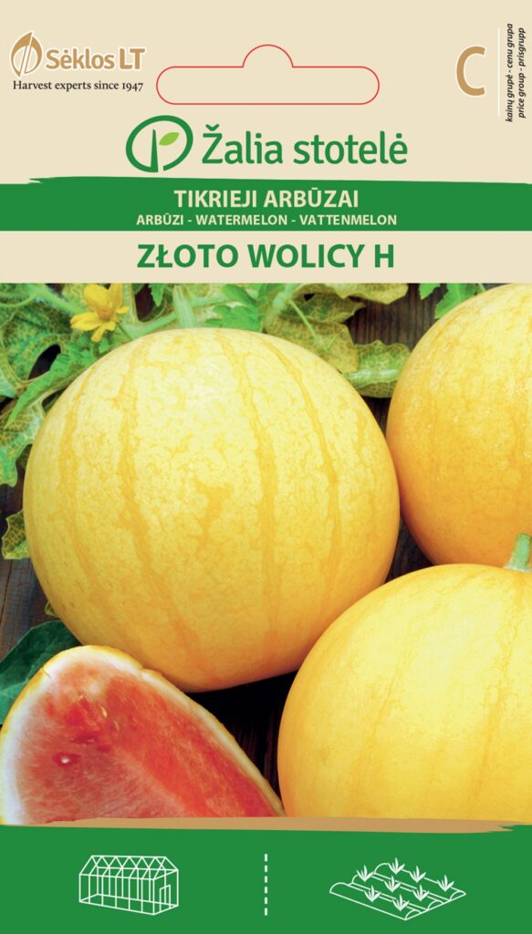 Arbuus Zloto wolicy H - Citrullus lanatus Thunb. Matsum. et Nakai