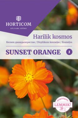 Harilik kosmos Sunset Orange 1g 1