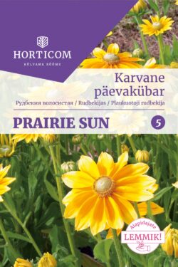 Karvane päevakübar Prairie Sun 50 seemet 5