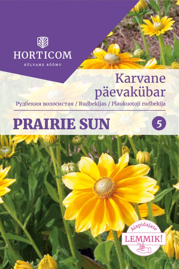 Karvane päevakübar Prairie Sun 30 seemet 5