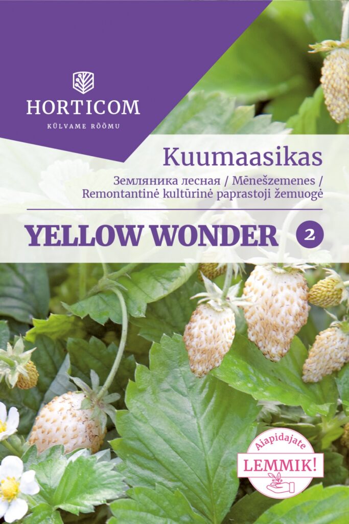 Kuumaasikas Yellow Wonder 50 seemet 2