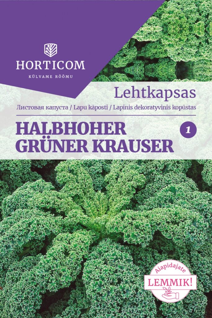 Lehtkapsas Halbhoher Grüner Krauser 50 seemet 1