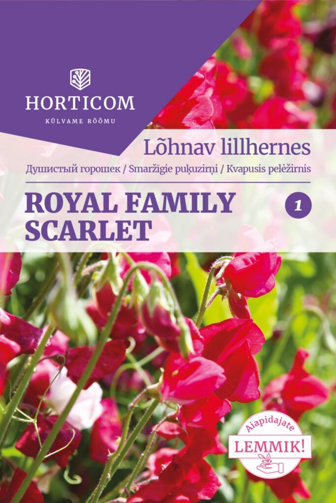 Lõhnav lillhernes Royal Family Scarlet 5g 1