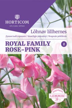 Lõhnav lillhernes Royal Family Rose-Pink 5g 1