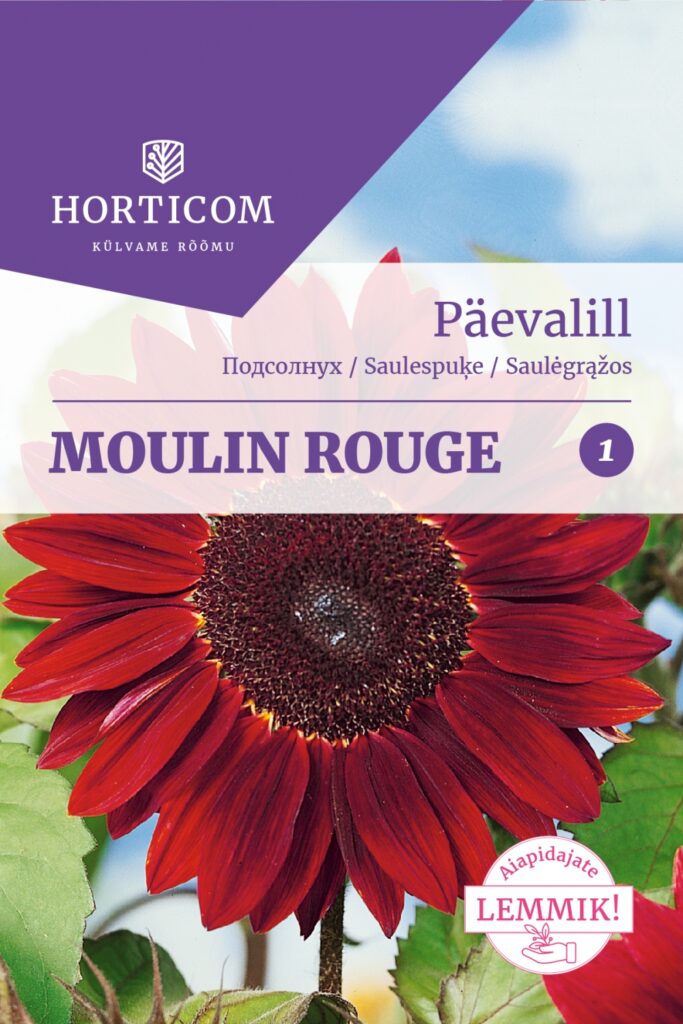 Päevalill Moulin Rouge 1g 1