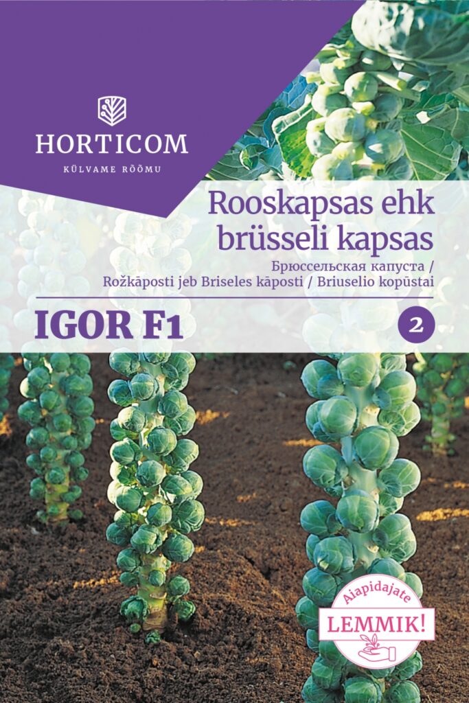 Rooskapsas ehk brüsseli kapsas Igor F1 50 seemet 2