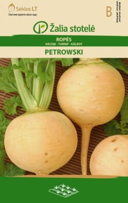 Naeris Petrowski Brassica rapa L. B