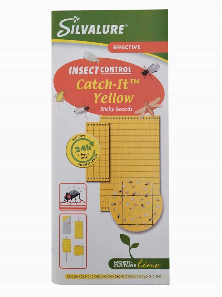 Püünispaber Catch-It 250 x 100mm ühepoolne kollane 10tk/pakis