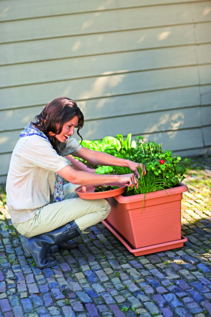 Rõdukasti alus Elho Green Basics Garden XXL 80cm terra