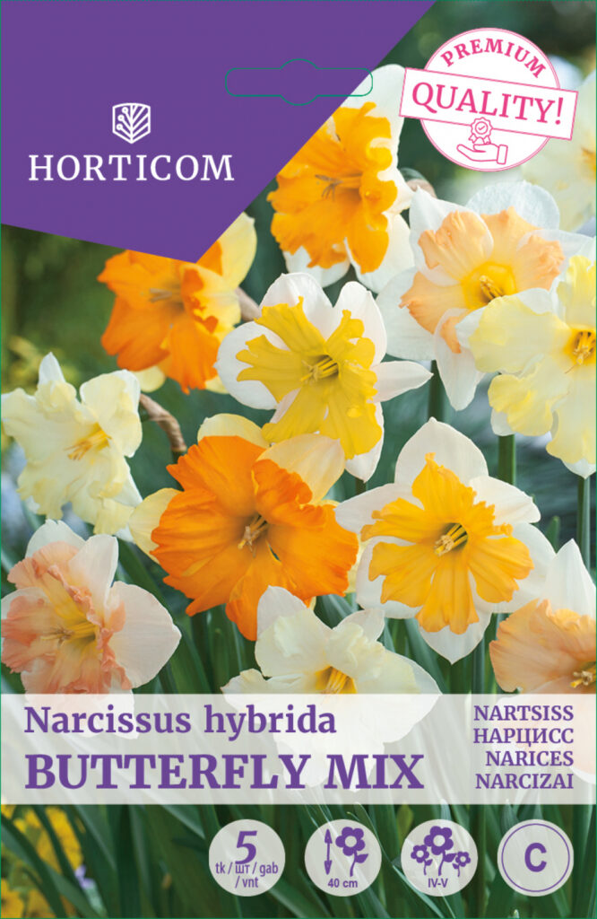 Nartsiss Butterfly Mix 5tk C