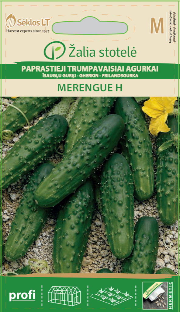 Kurk Merengue H - Cucumis sativus L.