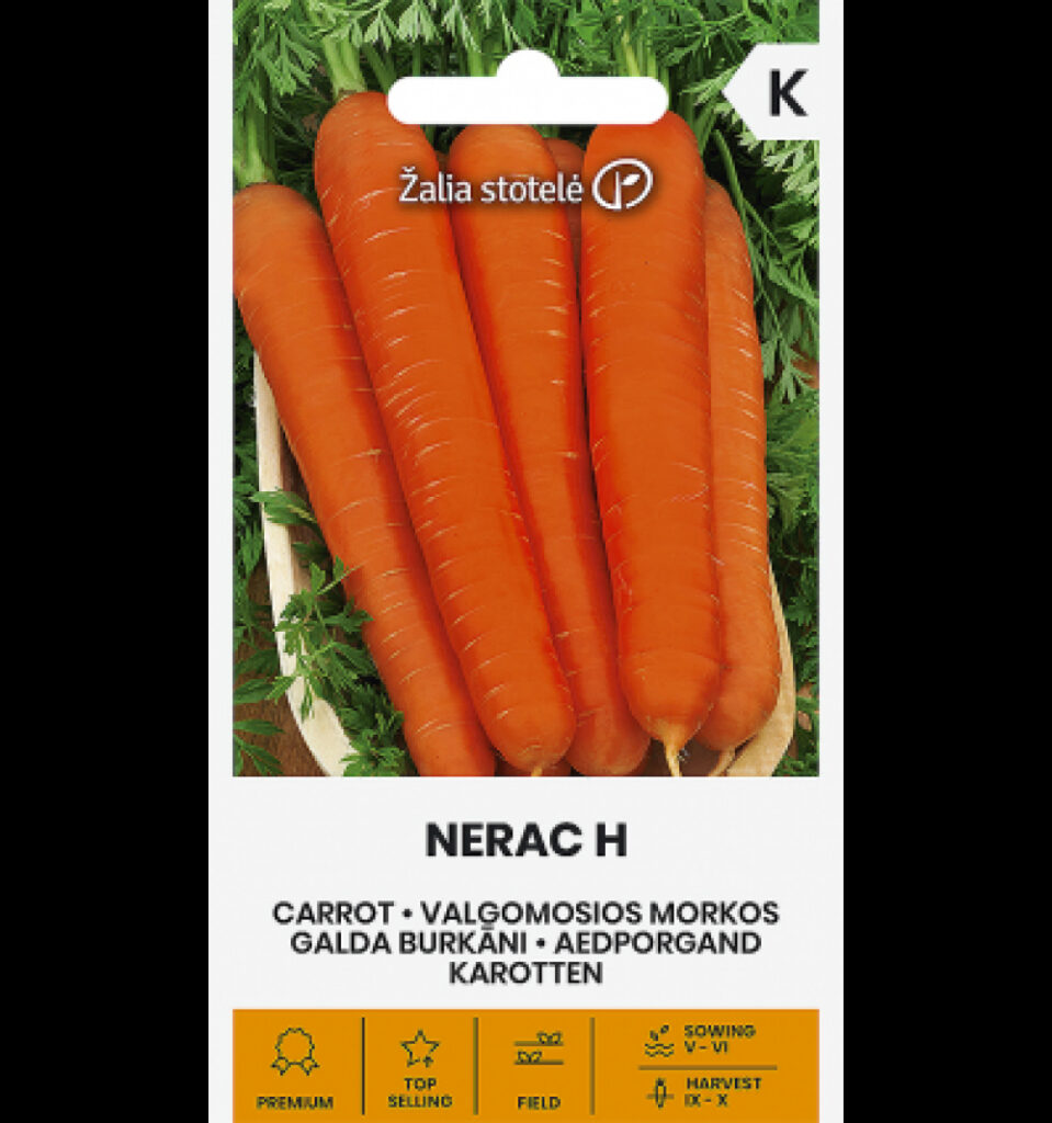 Porgand Nerac H - Daucus carota L.