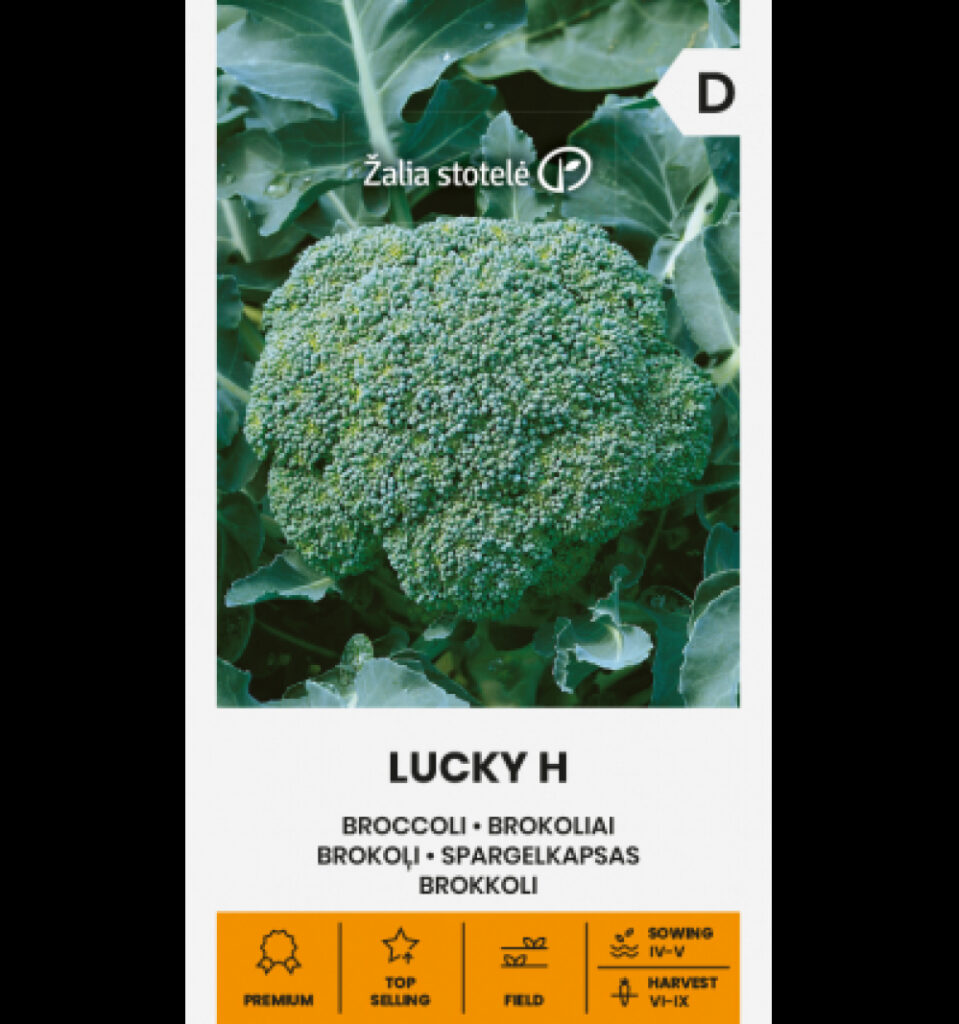 Spargelkapsas brokkoli Lucky H - Brassica oleracea L.