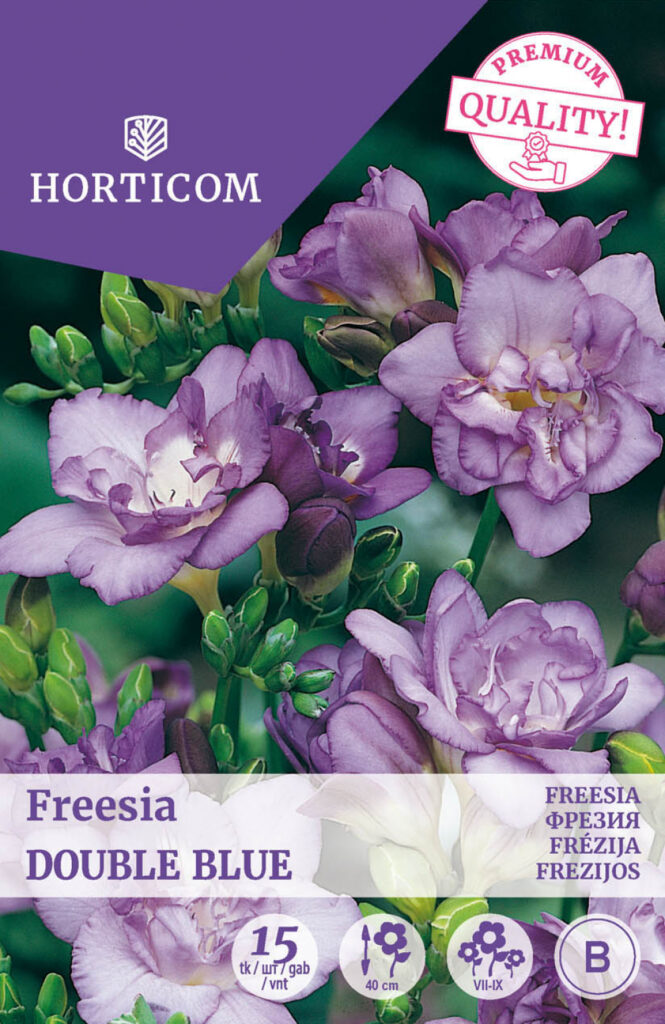 Freesia Double Blue 15tk B