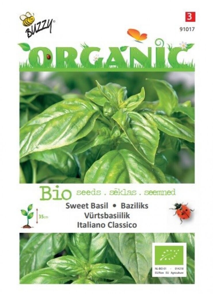 Buzzy® Organic Vürtsbasiilik Italiano Classico (BIO) 3