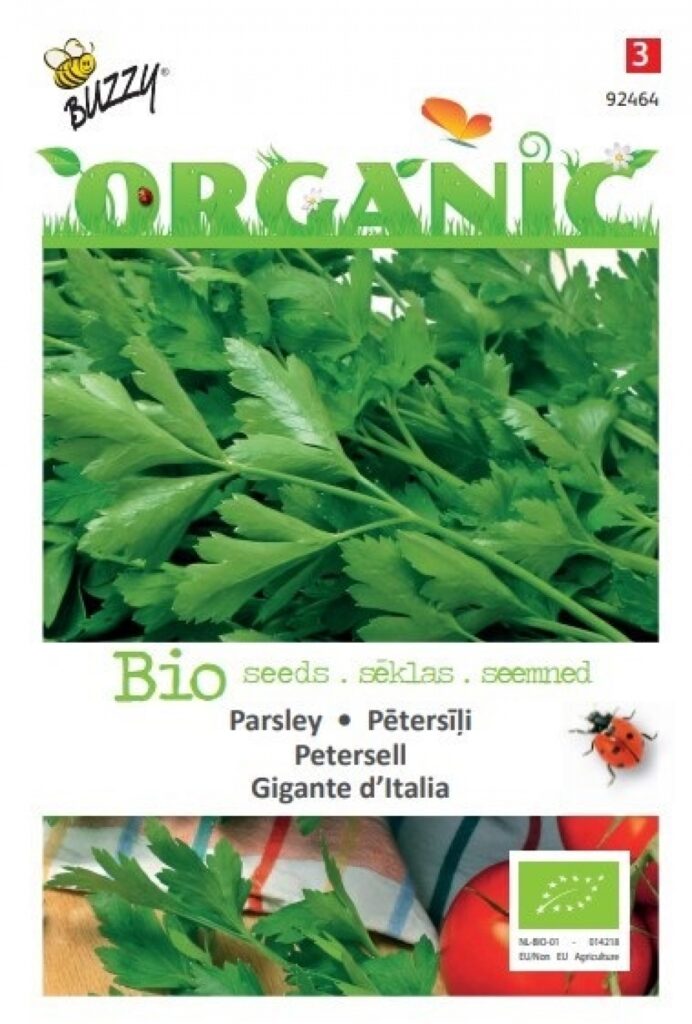 Buzzy® Organic Petersell - Gigante d'Italia (BIO) 3