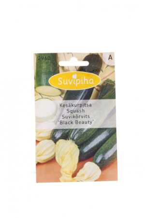 Suvikõrvits Black Beauty roheline 1g A Suvikõrvits Black Beauty roheline 1g A