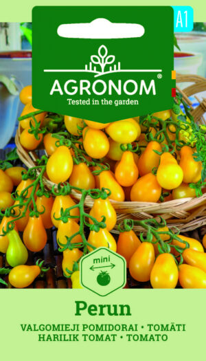 Tomat Perun-Solanum lycopersicum L. Tomat Perun-Solanum lycopersicum L.