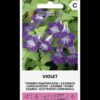 Roniv asariin Twining Snapdragon Violet Violet- Asarina Scandens