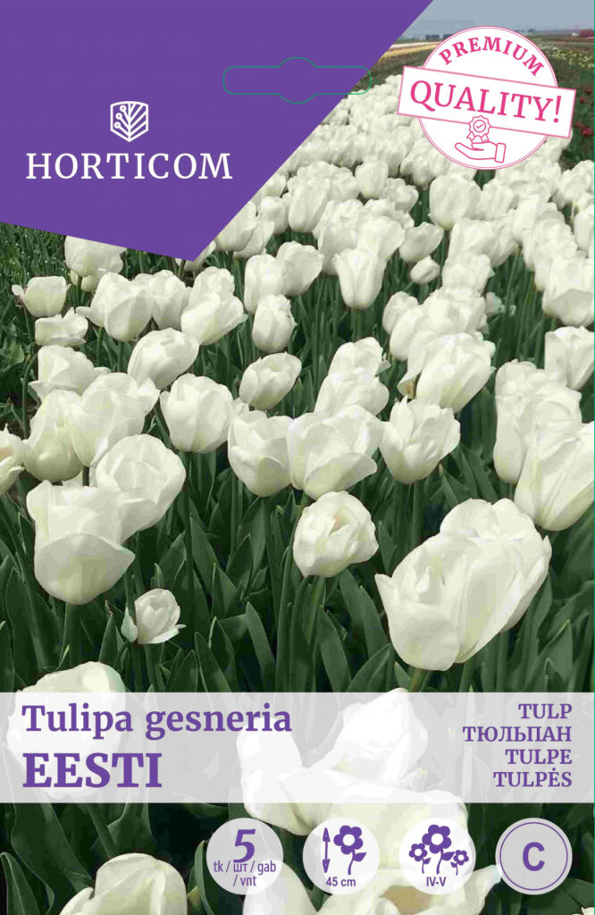 Tulp Eesti (triumph) 5tk C