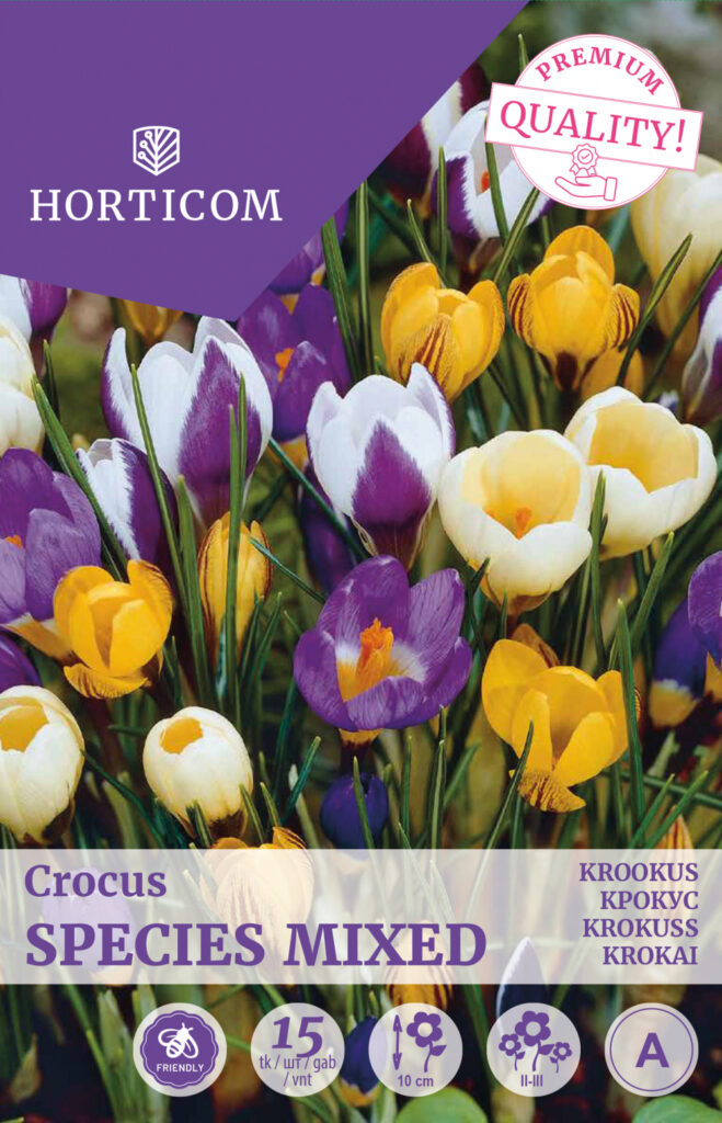 Krookus Species Mix 15tk A