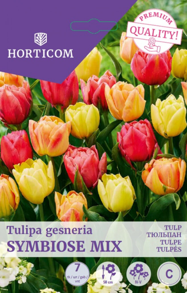 Tulp Symbiose Mix 7tk C