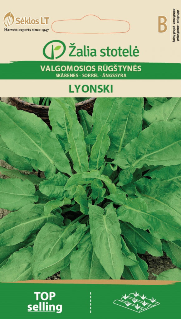 Hapuoblikas Lyonski - Rumex acetosa L.