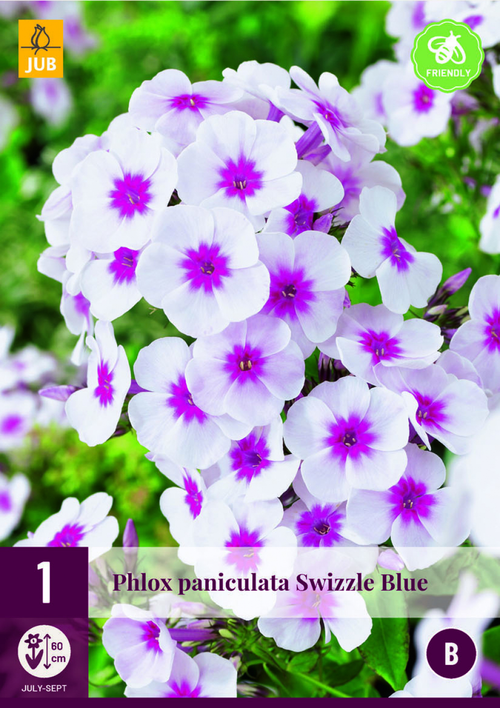 Aedfloks (phlox paniculata) Swizzle Blue 1tk B