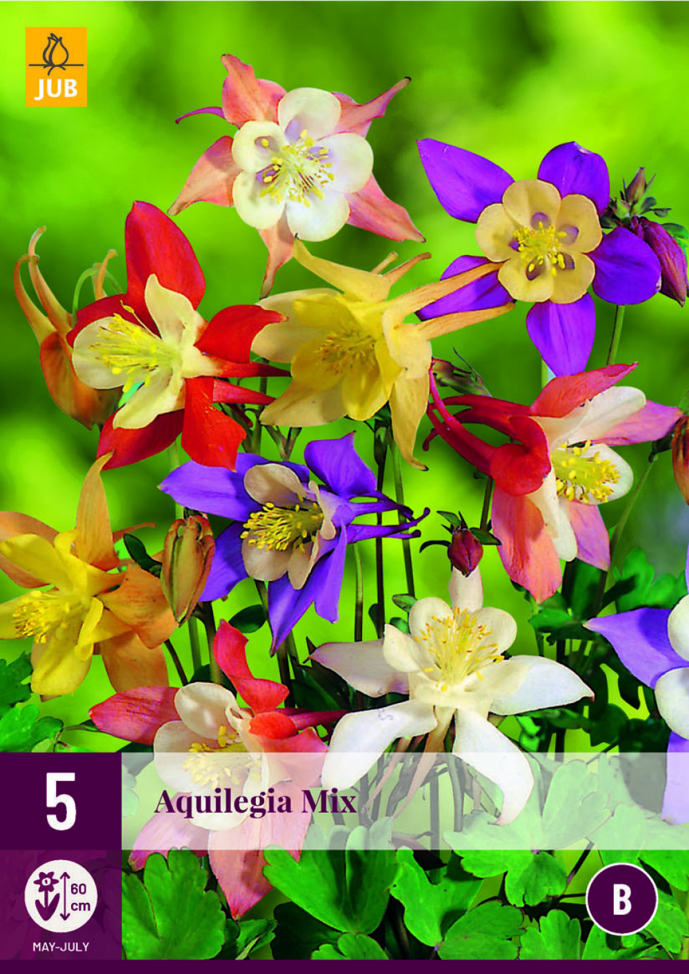 Kurekell Aquilegia Mix 5tk B