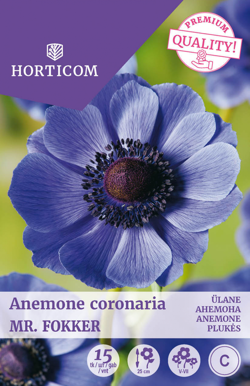 Kroonjas ülane Anemone Coronaria Mr Fokker 15tk B