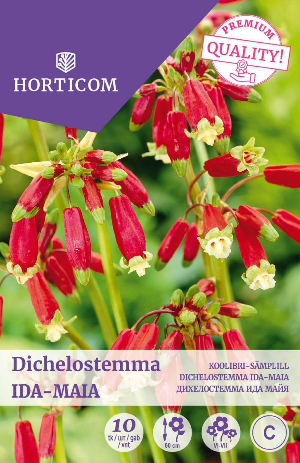 Koolibri-sämplill Dichelostemma ida-maia 10tk B