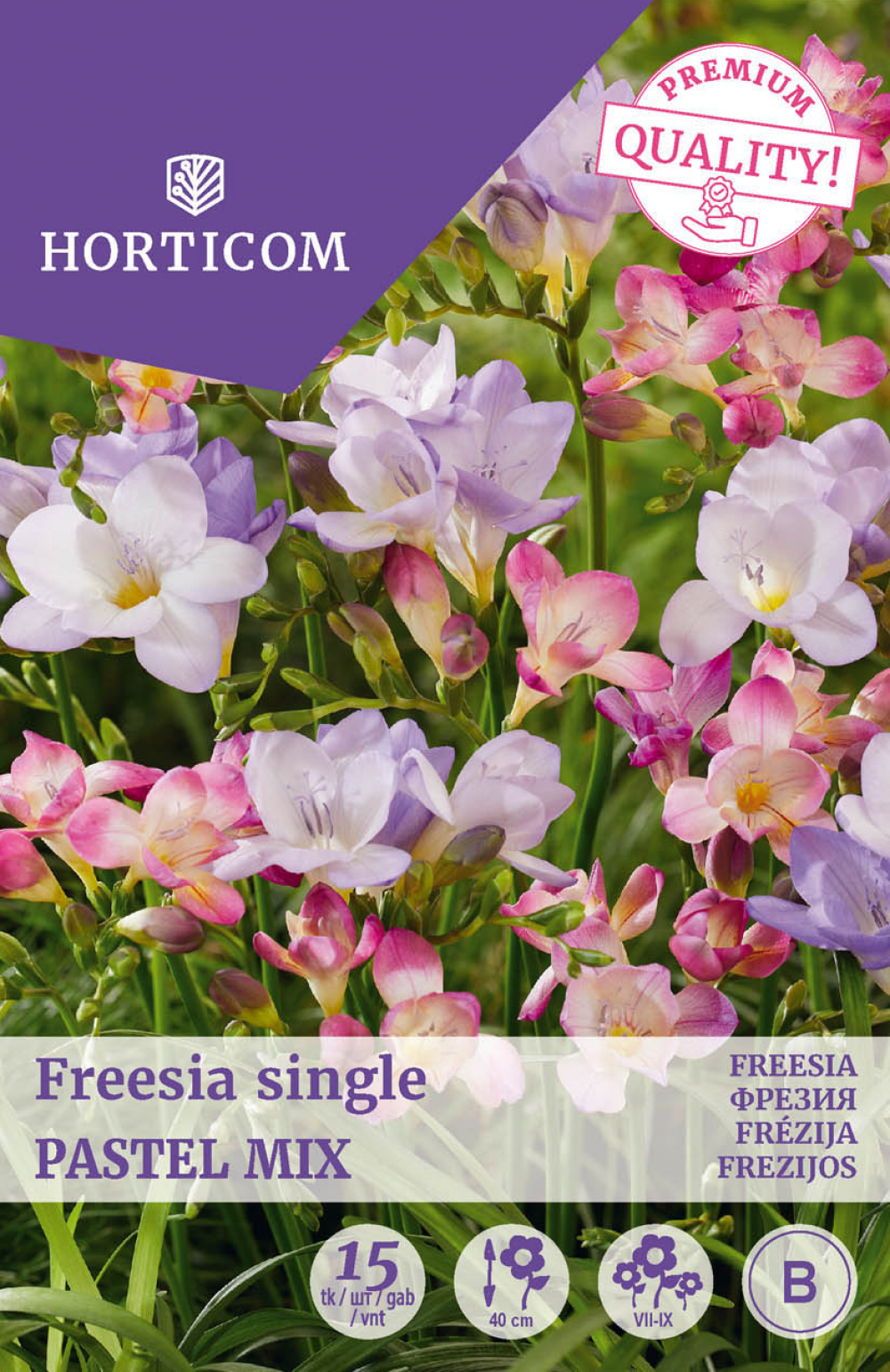 Freesia (lihtõieline) Pastel Mix 15tk B