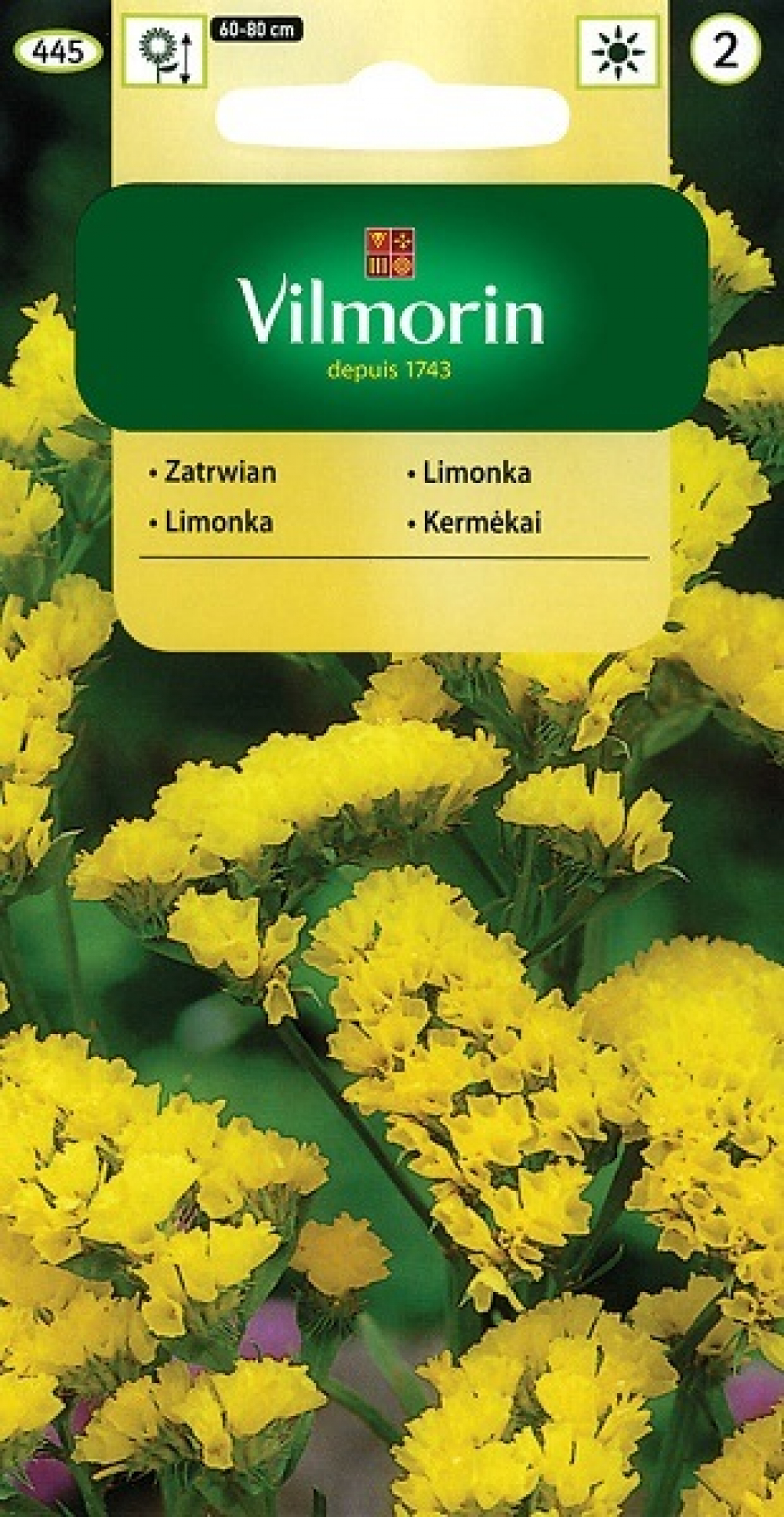 Parkjuur kollane Limonium sin.