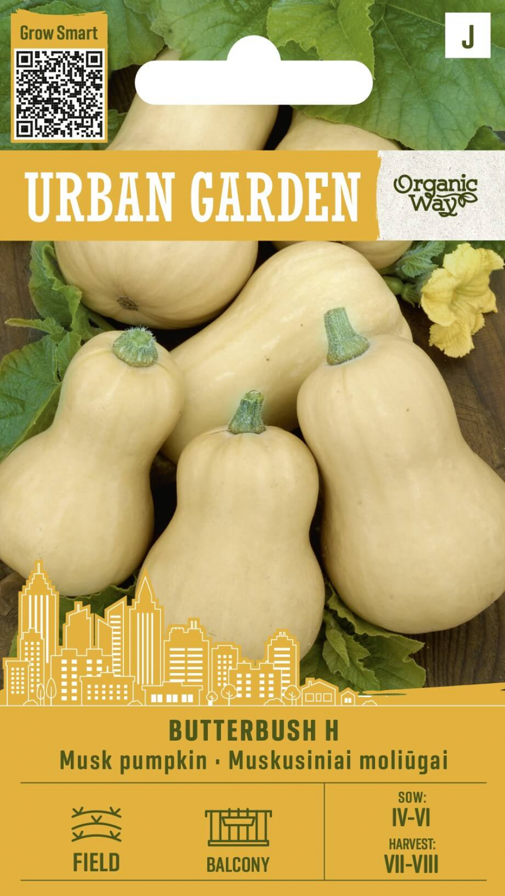 Muskaatkõrvits Butterbush H Muskaatkõrvits Butterbush H